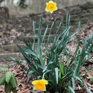 Meet your Posher, Sam